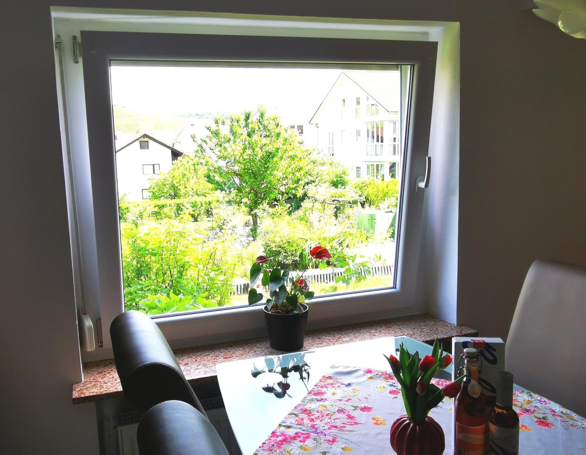 Ferienwohnung Bermatingen Apartment